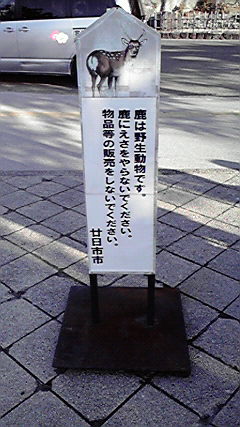 2008122815070000.jpg