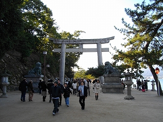 画像 050.jpg